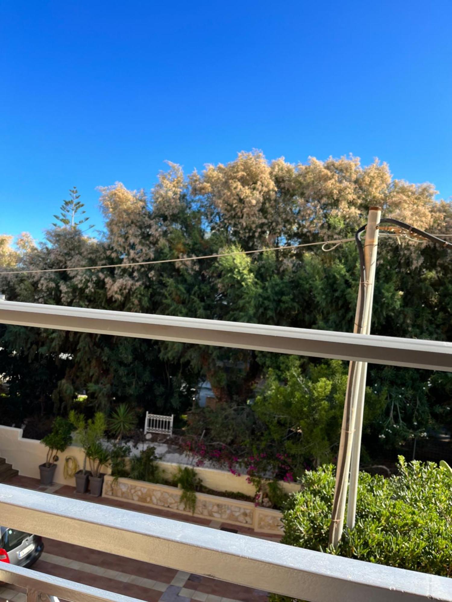 Iolkos Hotel Apartments Kato Daratso Dış mekan fotoğraf