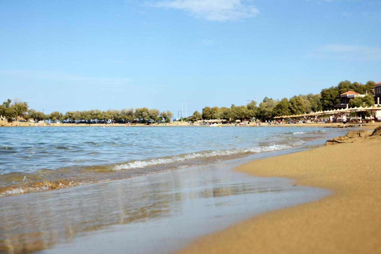 Iolkos Hotel Apartments Kato Daratso Dış mekan fotoğraf